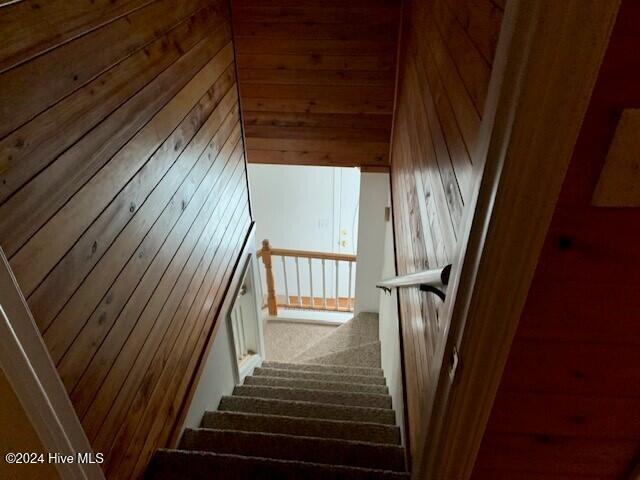 staircase with wood walls and carpet flooring