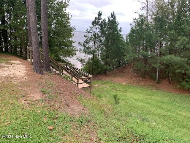 106 Summer Place Ln, Merry Hill, NC 27957 - view of yard