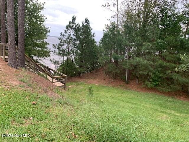 106 Summer Place Ln, Merry Hill, NC 27957 - view of yard