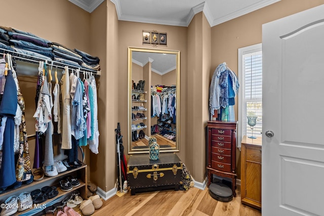 walk in closet with hardwood / wood-style floors