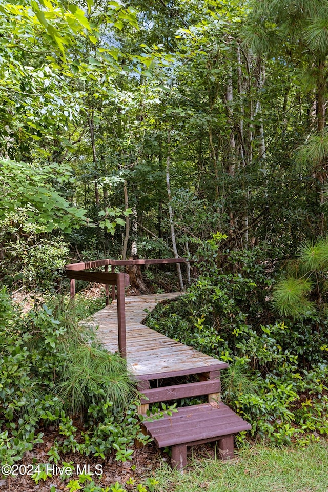1109 Foxbow Cv, Leland, NC 28451 - view of surrounding community