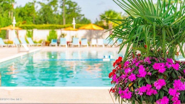 1109 Foxbow Cv, Leland, NC 28451 - view of community pool