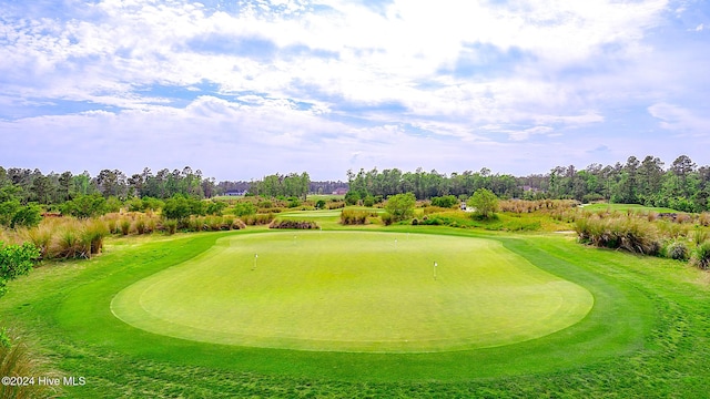 1109 Foxbow Cv, Leland, NC 28451 - surrounding community with golf course view, an area to practice putting, and view of scattered trees