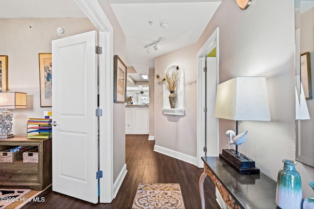 corridor featuring dark wood-type flooring and track lighting