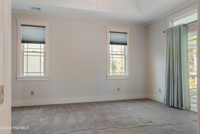 carpeted empty room featuring crown molding