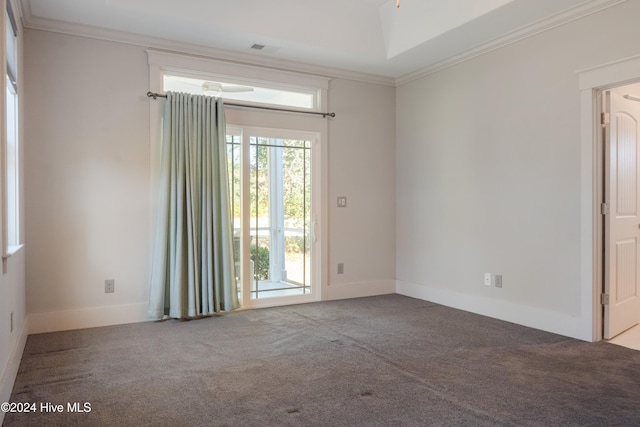 spare room featuring crown molding and carpet floors