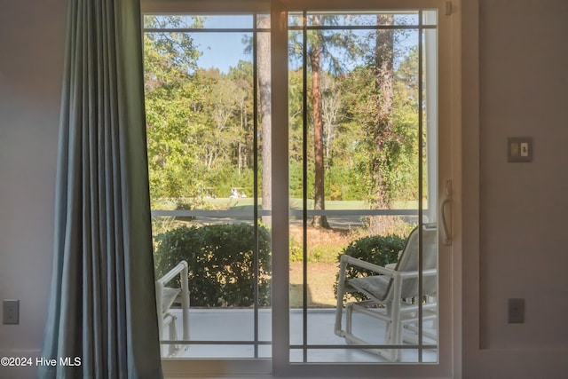 doorway featuring plenty of natural light