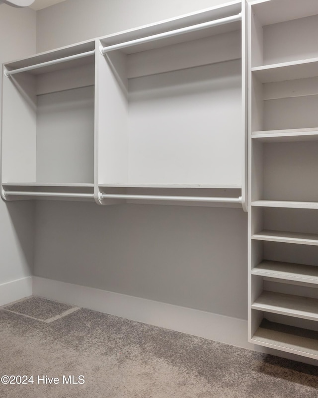 walk in closet featuring carpet flooring