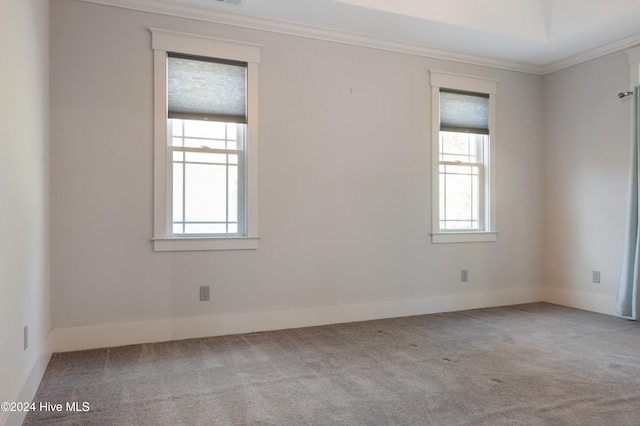 empty room with light carpet, crown molding, and a wealth of natural light