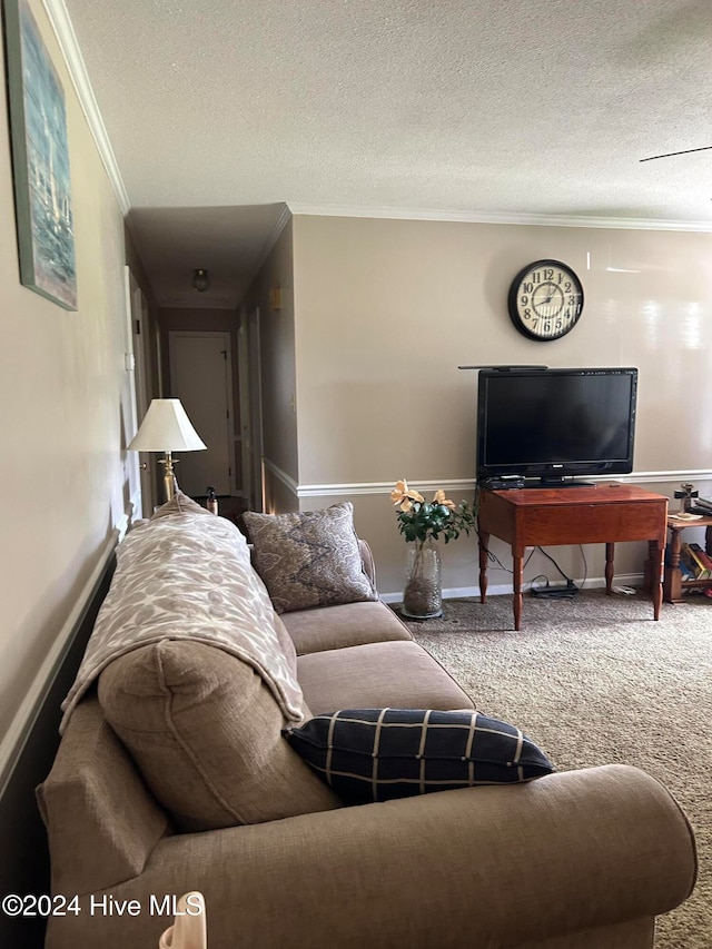 living room with ornamental molding, a textured ceiling, and carpet flooring