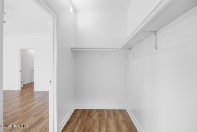 34 Bless Ave, Bolton, NC 28423 - walk in closet with wood finished floors