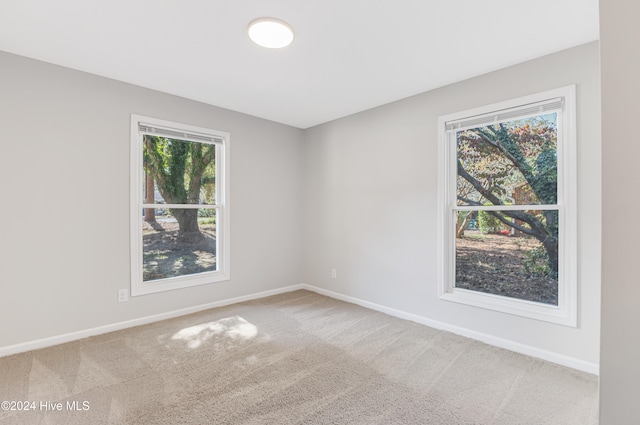 unfurnished room with light carpet