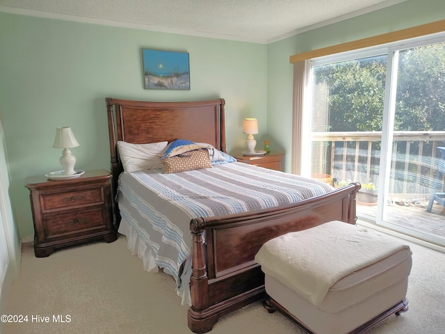 bedroom featuring a textured ceiling, access to exterior, and light colored carpet