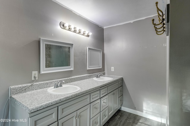 bathroom with vanity and wood-type flooring