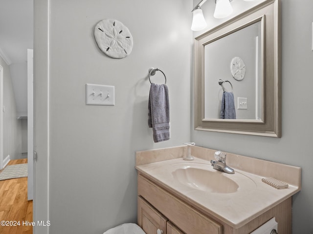 bathroom with wood-type flooring and vanity