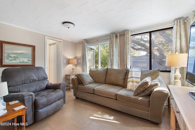 living room featuring crown molding