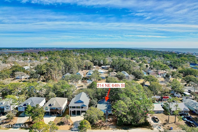 bird's eye view