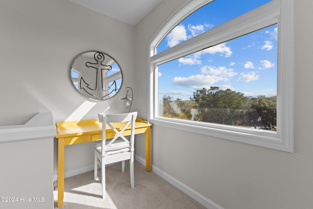 view of carpeted home office