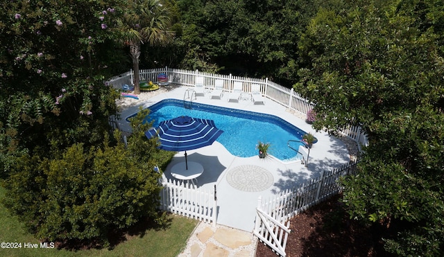 view of swimming pool with a patio