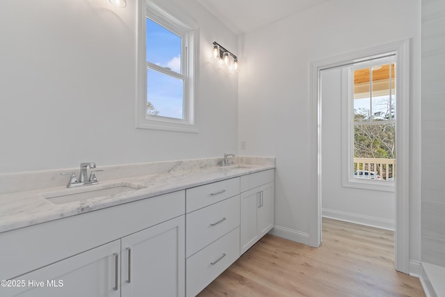 bathroom featuring wood-type flooring and vanity