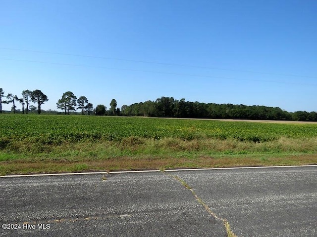 Listing photo 3 for TBD Cowpen Swamp Rd Unit 8, Fairmont NC 28340