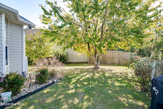 view of yard