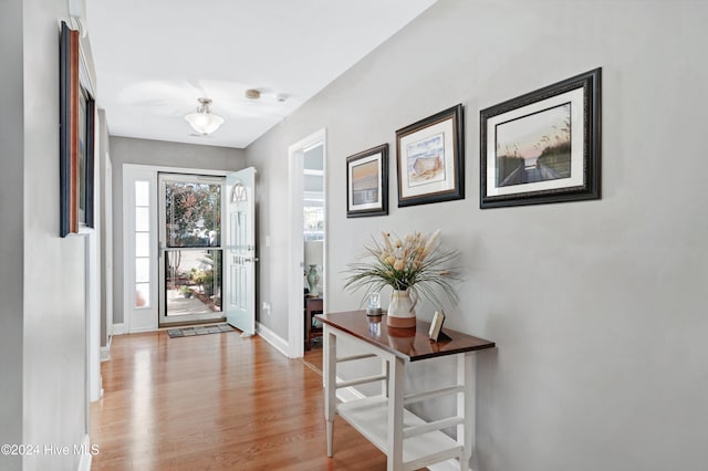 entrance foyer with light hardwood / wood-style floors