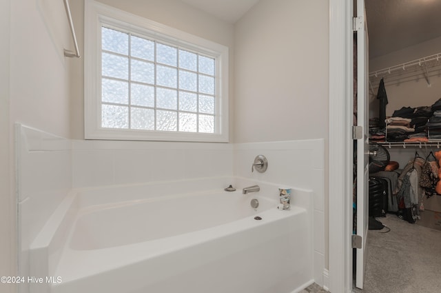 bathroom with a bathing tub