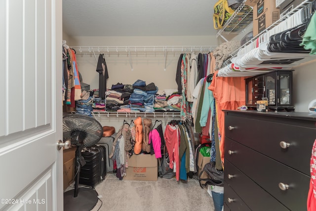 spacious closet with light colored carpet