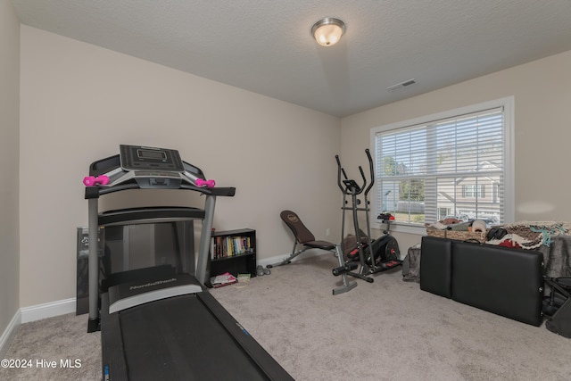 workout area featuring a textured ceiling and light carpet