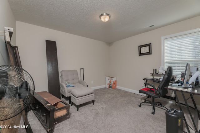 carpeted office with a textured ceiling