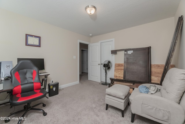 office featuring light colored carpet and a textured ceiling