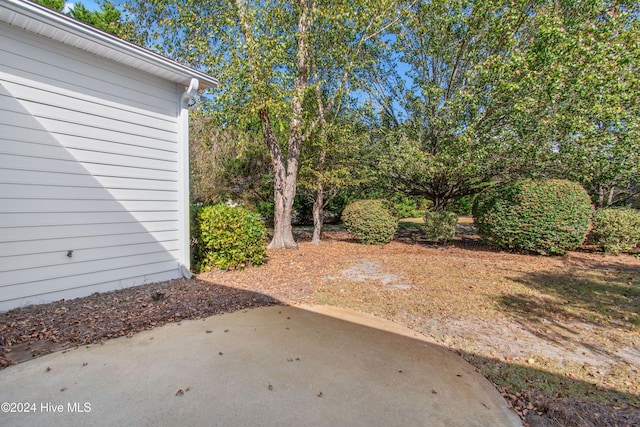 view of yard featuring a patio area