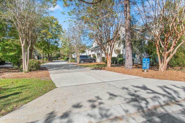 view of road with driveway