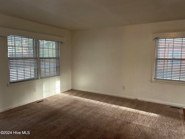 carpeted empty room featuring a wealth of natural light