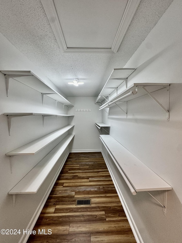 walk in closet featuring dark hardwood / wood-style flooring