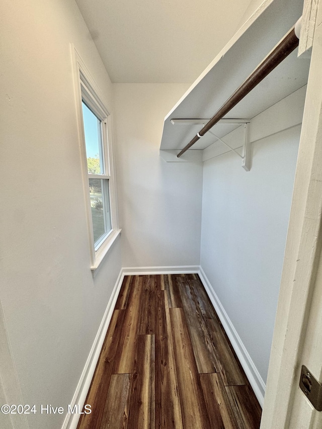 walk in closet featuring dark wood-type flooring