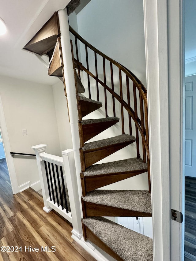 staircase with wood-type flooring