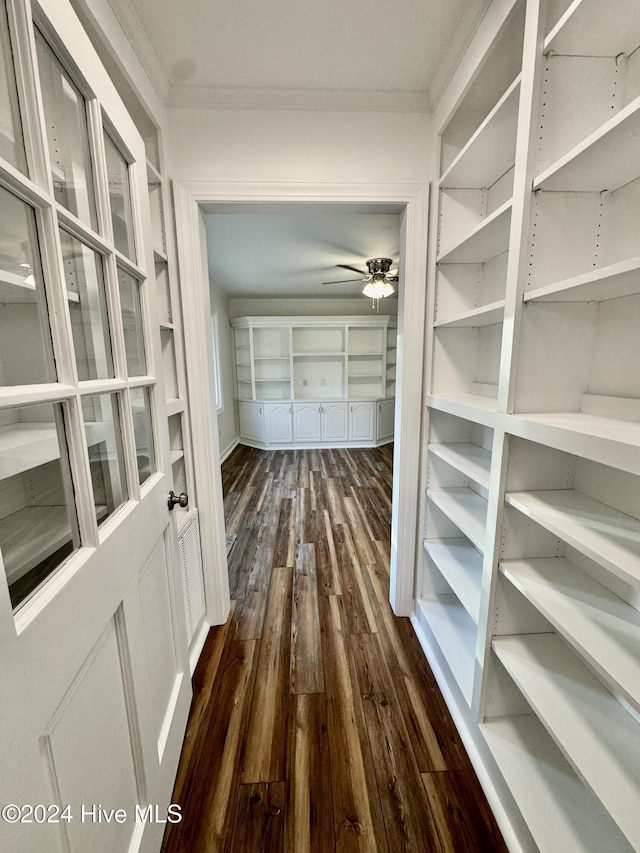 spacious closet with ceiling fan and dark wood-type flooring