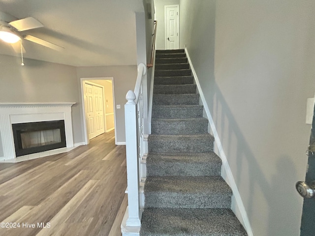 staircase featuring hardwood / wood-style flooring and ceiling fan