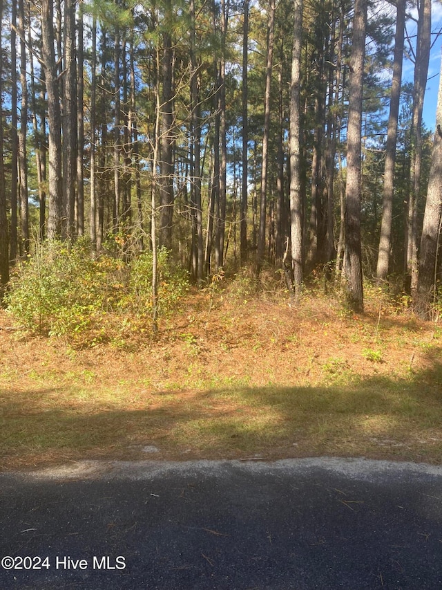 LOT67 Bucknell Ln, Laurinburg NC, 28352 land for sale