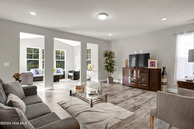 living room featuring light hardwood / wood-style flooring and a healthy amount of sunlight