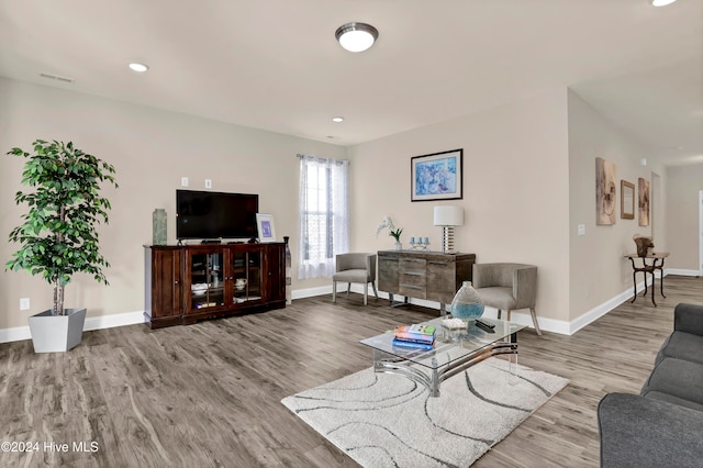 living room featuring light hardwood / wood-style floors