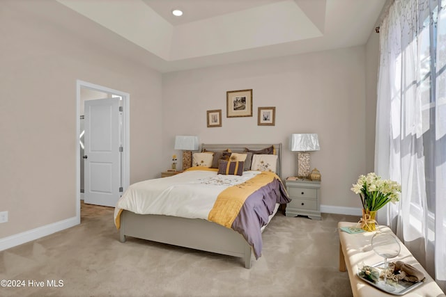 carpeted bedroom with a raised ceiling