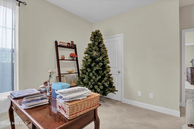 view of carpeted office space