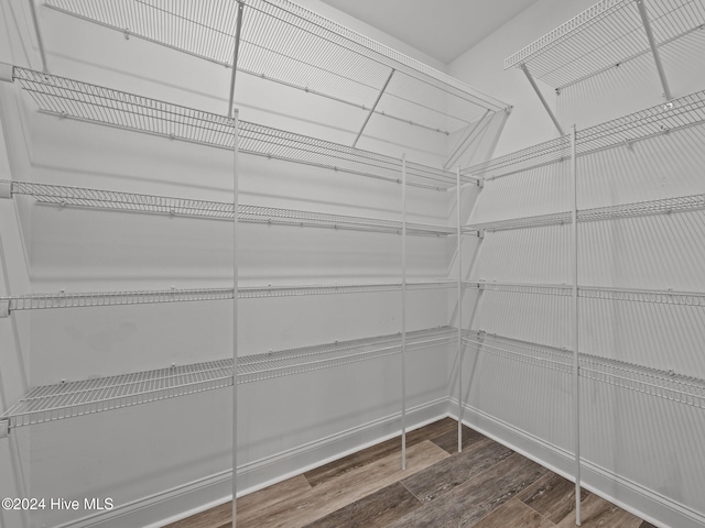 walk in closet featuring wood finished floors