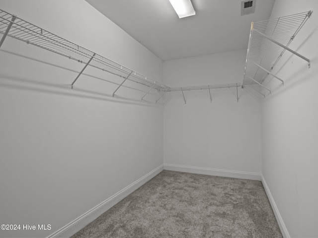 walk in closet with carpet flooring