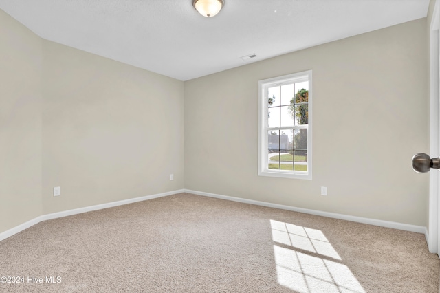 empty room featuring carpet floors