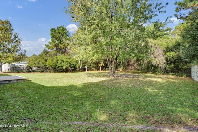 1912 Paulette Rd, Morehead City, NC 28557 - view of green lawn