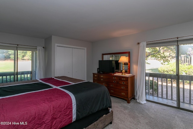 bedroom with light carpet, a closet, multiple windows, and access to exterior